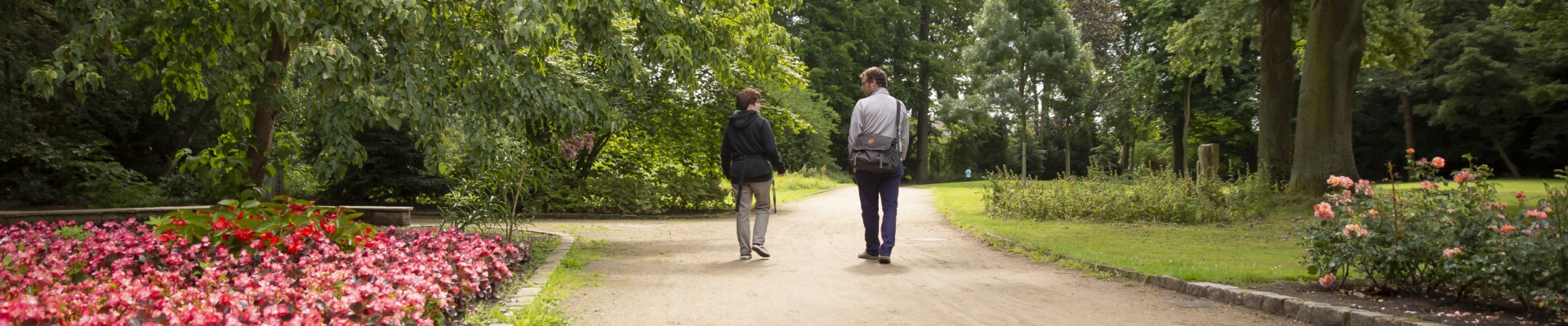 Zwei Menschen spatzieren durch einen Park